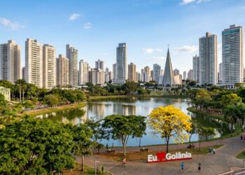 1 milhão de árvores e 89,6% das ruas arborizadas: a capital goiana eleita Cidade Árvore do Mundo pela ONU