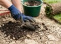 Quanto um jardineiro cobra para transformar um quintal de terra em área gramada em 2026