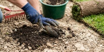 Quanto um jardineiro cobra para transformar um quintal de terra em área gramada em 2026