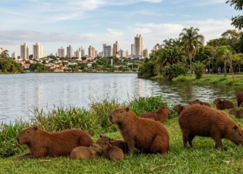 Metamorfose histórica no interior paulista: cidade que trocou de nome duas vezes em 40 anos adota capivara como símbolo de identidade hoje