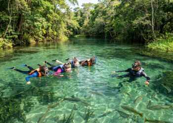 Bonito, no Mato Grosso do Sul, não tem mar mas tem rios com visibilidade de 40 metros e é o destino de ecoturismo com maior controle de visitantes do Brasil