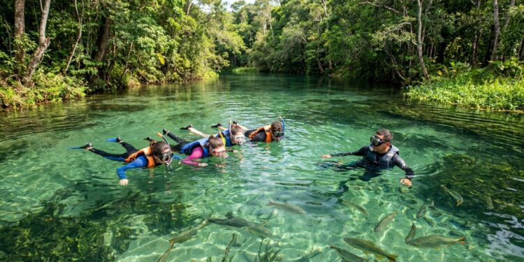 Bonito, no Mato Grosso do Sul, não tem mar mas tem rios com visibilidade de 40 metros e é o destino de ecoturismo com maior controle de visitantes do Brasil