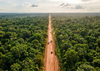 Com 4.260 km de extensão, e construída a partir de 1972, a rodovia federal cruza o norte do país, ligando o Nordeste ao coração da floresta