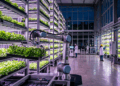 A fazenda vertical robotizada que parece um armazém automático move bandejas de folhas por uma grade gigante para produzir alimentos dentro da cidade