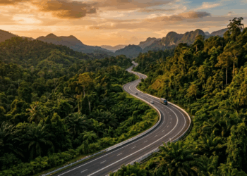 Os fundamentos da governança territorial para transformar rodovias em vetores sustentáveis