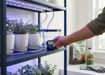 Quanto custa montar mini horta automatizada em casa em 2026 preços, kits e valores reais