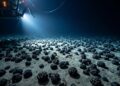 Mineração oceânica mira rochas metálicas no fundo do mar que concentram minerais usados em baterias e redes