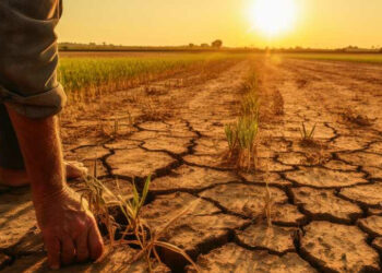 El Niño deve aumentar inflação dos alimentos até 2027 e pressionar IPCA, aponta Santander