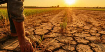 El Niño deve aumentar inflação dos alimentos até 2027 e pressionar IPCA, aponta Santander