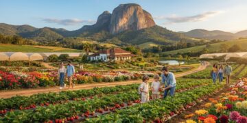 A cidade do morango que também produz 25% de todas as flores comercializadas no Brasil