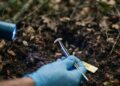 O entomologista forense consegue tirar informações de um inseto!