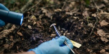 O entomologista forense consegue tirar informações de um inseto!