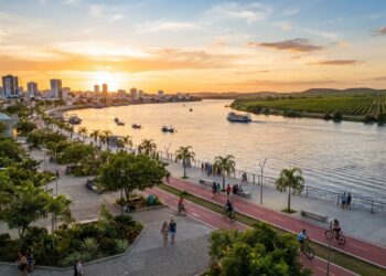 A cidade baiana onde nasceu o pai da Bossa Nova produz duas safras de uva por ano e abre o Carnaval do Brasil