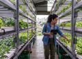 O segredo das fazendas verticais não está só nas plantas, mas nos dados