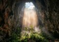 Floresta cresce dentro da maior caverna conhecida