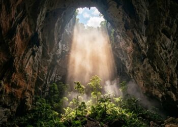 Floresta cresce dentro da maior caverna conhecida