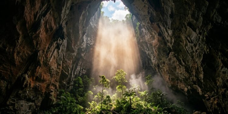 Floresta cresce dentro da maior caverna conhecida