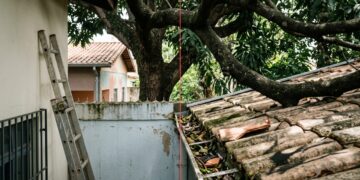 Corte de galhos que ultrapassam a divisa do imóvel