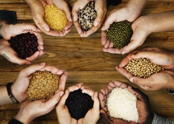 OPINIÃO: Como cooperativas do agro podem transformar a reforma tributária em eficiência e competitividade