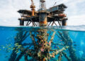 Antigas plataformas de petróleo que virariam sucata no fundo do mar podem se transformar em recifes artificiais cheios de peixes, corais e vida marinha