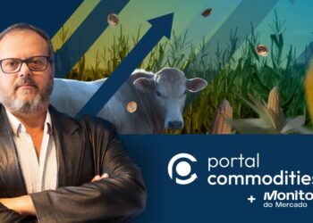Portal das Commodities completa 4 anos e mira nova fase de crescimento