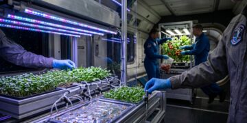 Cientista de plantas em microgravidade usa receitas de luz para mudar até o sabor das verduras cultivadas no espaço