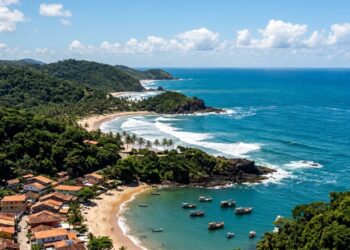 Uma das maiores diversidades de árvores já medidas no planeta a poucos quilômetros do mar: a antiga vila do cacau com mais de 20 praias no sul da Bahia