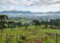 Berço do turismo rural do Brasil e o maior município catarinense em extensão: a cidade a 920 metros onde a neve volta quase todo inverno