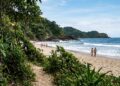 458 espécies de árvores em um único hectare: a cidade baiana onde a Mata Atlântica desce a serra e para na areia da praia
