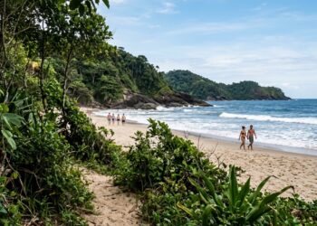 458 espécies de árvores em um único hectare: a cidade baiana onde a Mata Atlântica desce a serra e para na areia da praia