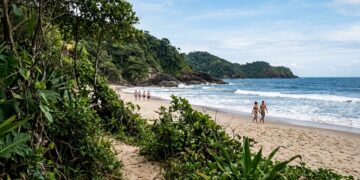 458 espécies de árvores em um único hectare: a cidade baiana onde a Mata Atlântica desce a serra e para na areia da praia