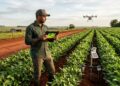 Quem une inteligência artificial e agronomia já está criando uma das carreiras mais promissoras do agro