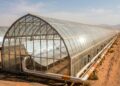 Espelhos no deserto de Omã produzem vapor solar para retirar petróleo do subsolo e reduzir a queima de gás natural