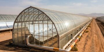 Espelhos no deserto de Omã produzem vapor solar para retirar petróleo do subsolo e reduzir a queima de gás natural