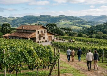 A primeira Indicação Geográfica do Brasil e a única Denominação de Origem de vinhos do país: o município gaúcho que virou referência de enoturismo