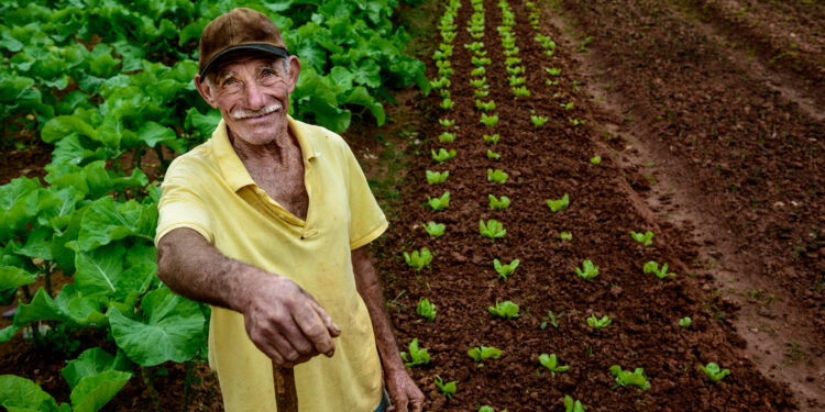 Portrait of elderly farmer at plantation, Brazil