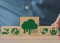 Títulos ESG ignoram critérios sustentáveis e aumentam risco de greenwashing no Brasil, aponta estudo