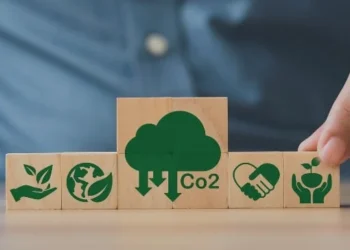 Títulos ESG ignoram critérios sustentáveis e aumentam risco de greenwashing no Brasil, aponta estudo
