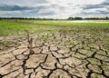 Clima pode gerar perdas de até 19% do PIB global até 2050, diz estudo