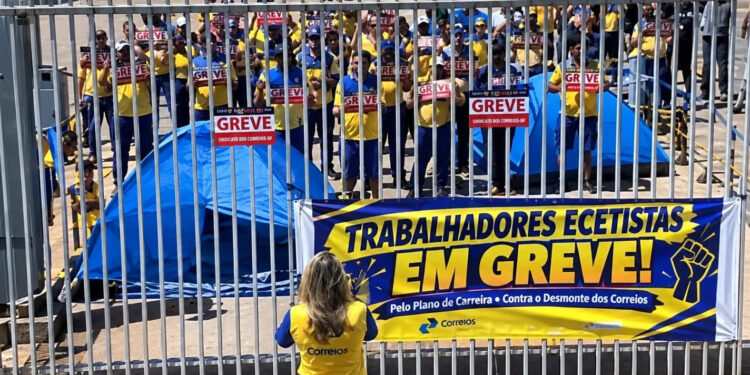Imagem: Reprodução @sintect_df