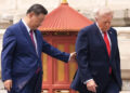 Morning Call: Mercados avançam com expectativa pela cúpula entre Trump e Xi em meio à queda do petróleo