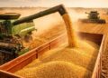 Diversificação regional deve limitar efeitos do El Niño no agro brasileiro, diz especialista