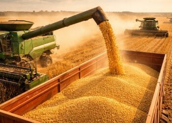 Diversificação regional deve limitar efeitos do El Niño no agro brasileiro, diz especialista
