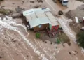 Plantação de milho com aspecto seco e rachaduras no solo, sob céu claro, ilustrando os efeitos da estiagem causada pelo El Niño.