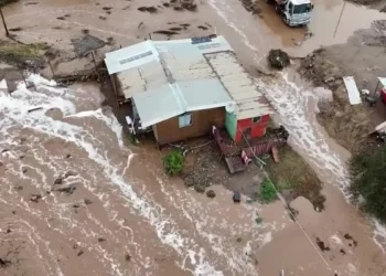 Plantação de milho com aspecto seco e rachaduras no solo, sob céu claro, ilustrando os efeitos da estiagem causada pelo El Niño.