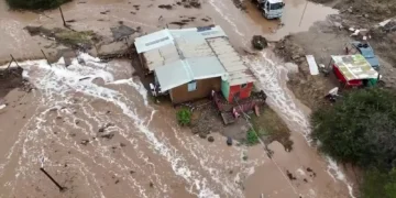 Plantação de milho com aspecto seco e rachaduras no solo, sob céu claro, ilustrando os efeitos da estiagem causada pelo El Niño.