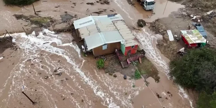 Plantação de milho com aspecto seco e rachaduras no solo, sob céu claro, ilustrando os efeitos da estiagem causada pelo El Niño.