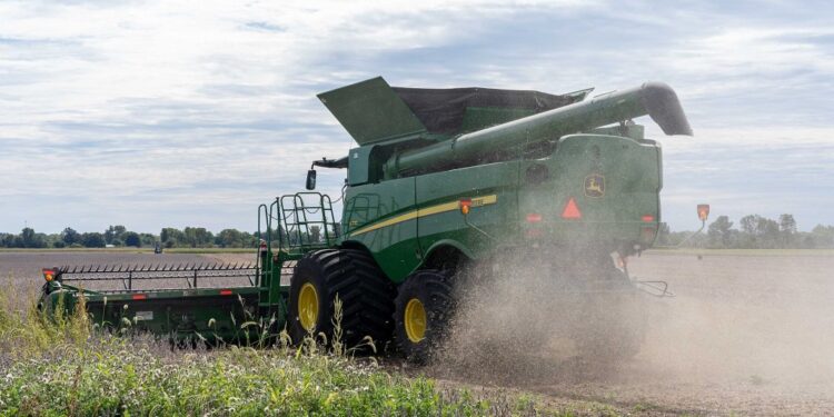 Imagem de apoio: USDA: colheita de soja e milho avança nos EUA