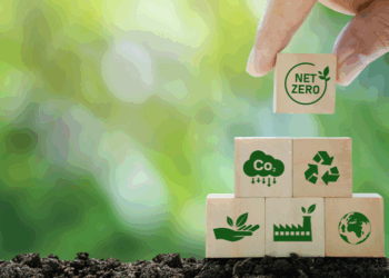 OPINIÃO: Carbono Neutro x Net Zero; Saiba qual é a diferença