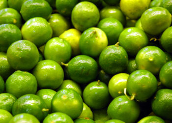 Preço do limão tahiti salta 226% para o produtor em três meses